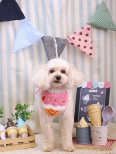 20250508リコちゃん